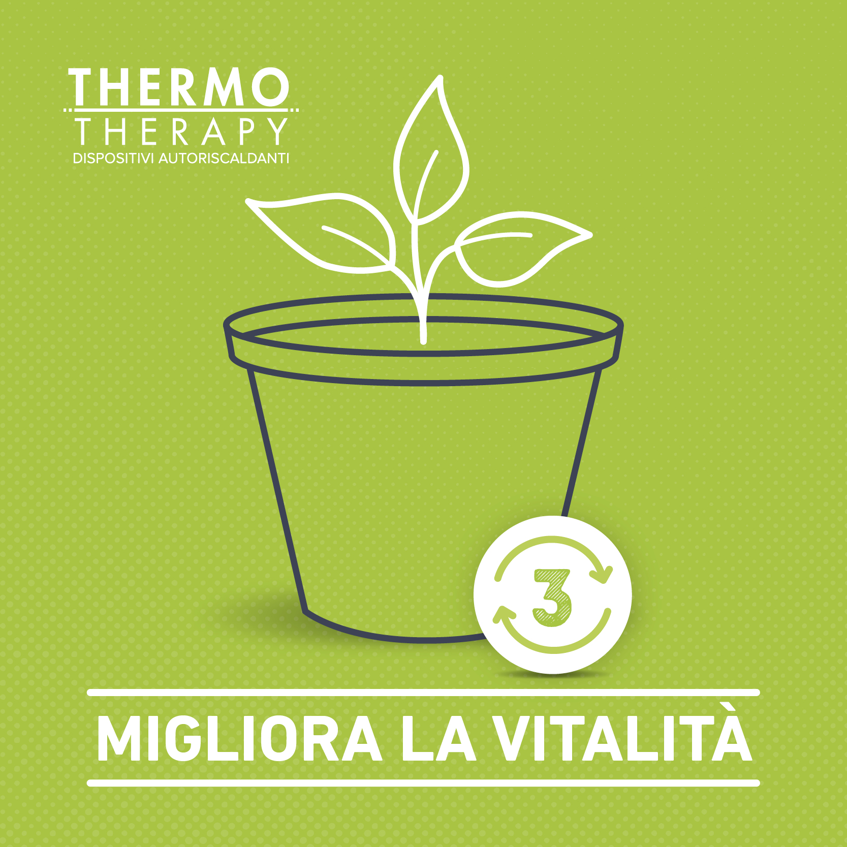 eco-friendly_fase3