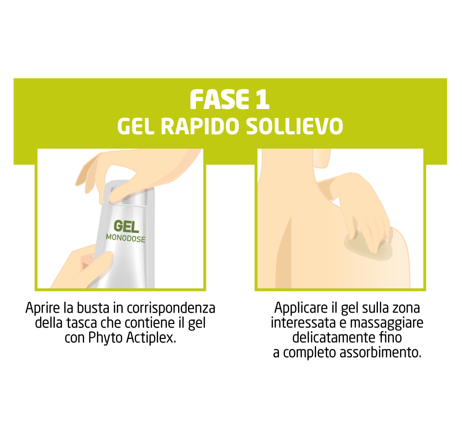 fase1-fitoterapia