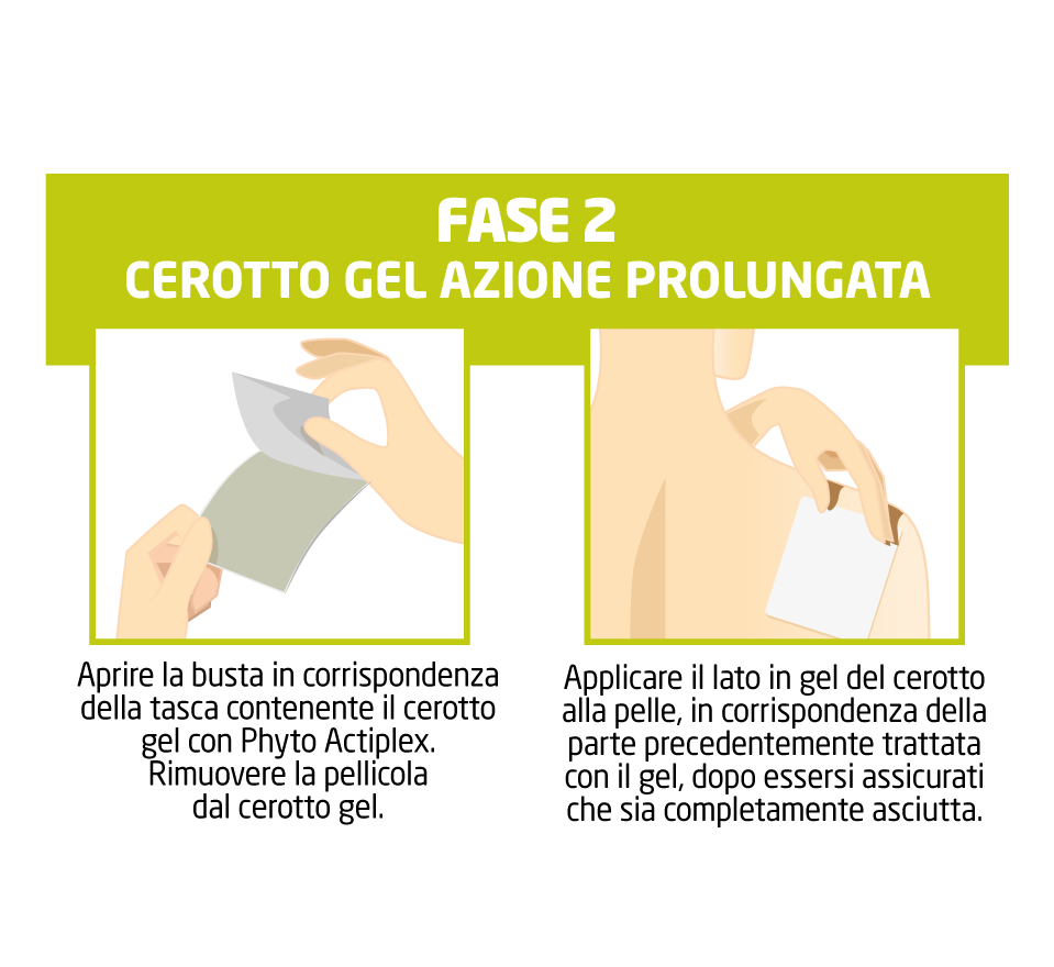 fase2-fitoterapia